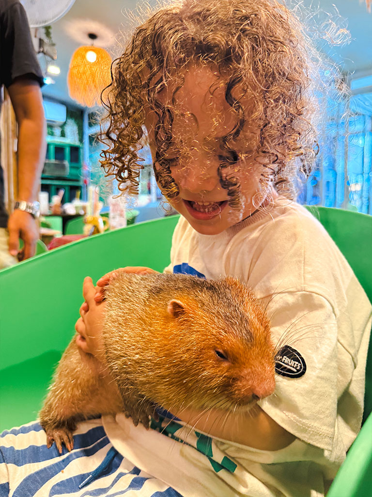 Notre séjour en famille à Koh Samui - le Capybara Coffee
