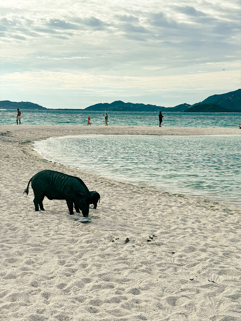Notre séjour en famille à Koh Samui - Koh Madsum