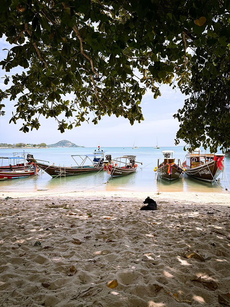 Notre séjour en famille à Koh Samui - Koh Taen
